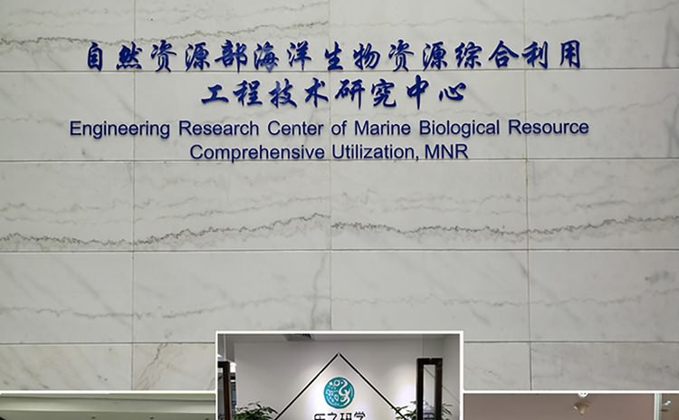 廈門logo墻制作公司服務于廈門多家公司logo墻設計制作安裝,匠心精神對待每家企業logo墻設計制作，致力于廈門logo墻設計,廈門logo墻制作公司_廈門logo墻制作,公司入門logo墻設計制作安裝